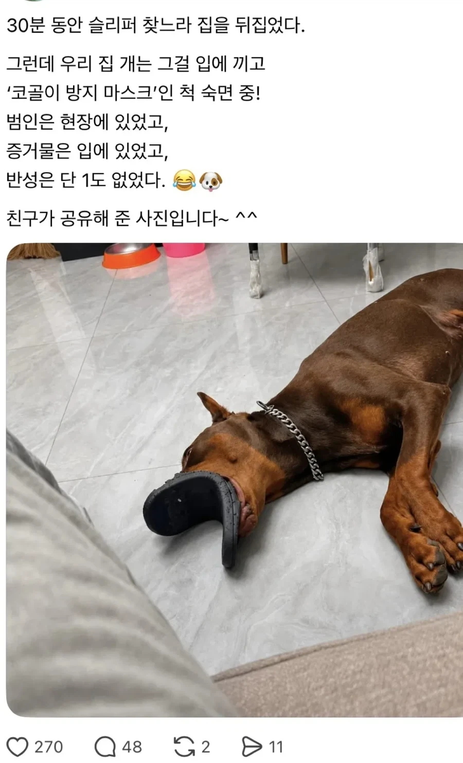 30분 동안 슬리퍼를 찾느라 집을 뒤집었다.