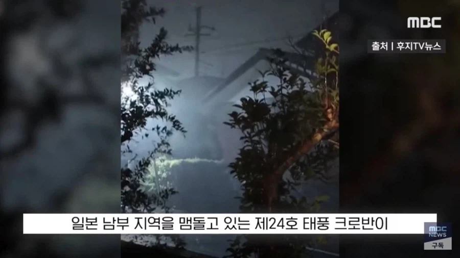 일교차가 크지만 지금 날씨에 감사해야하는 이유 - 이미지 4
