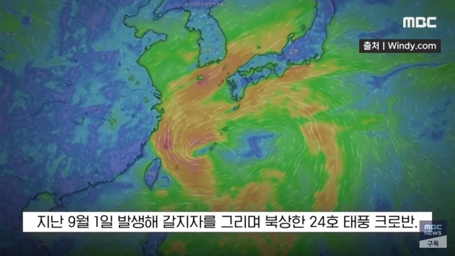 일교차가 크지만 지금 날씨에 감사해야하는 이유 - 이미지 8