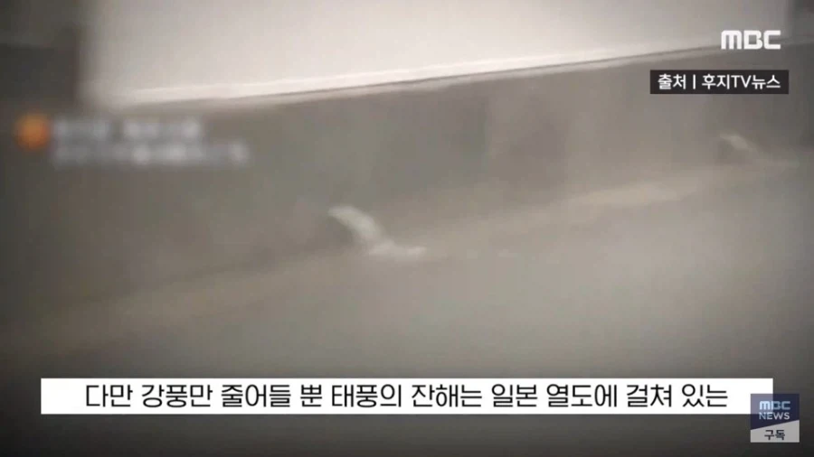 일교차가 크지만 지금 날씨에 감사해야하는 이유 - 이미지 10