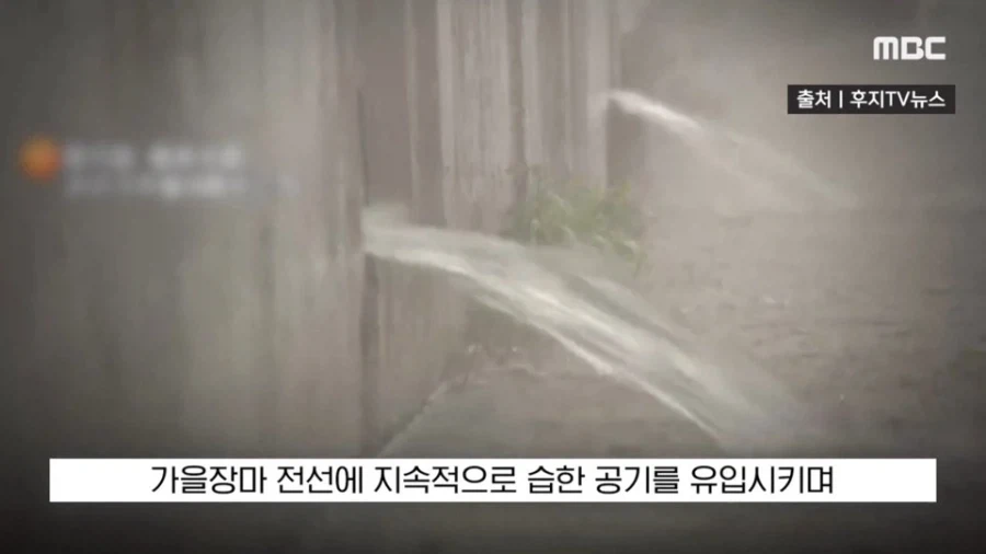 일교차가 크지만 지금 날씨에 감사해야하는 이유 - 이미지 11