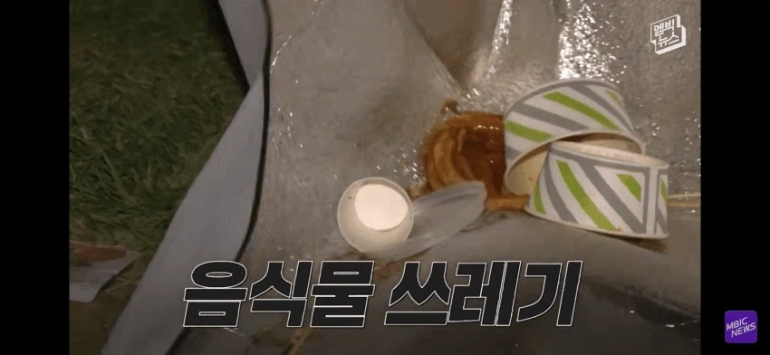 불꽃축제 일뽕 아줌마 ㄷㄷㄷㄷㄷ - 이미지 4