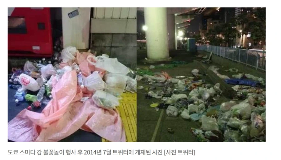 불꽃축제 일뽕 아줌마 ㄷㄷㄷㄷㄷ - 이미지 10