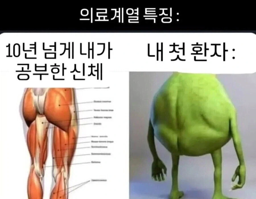 10년 넘게 공부한 이론 끝에 처음 만난 실전 환자.jpg