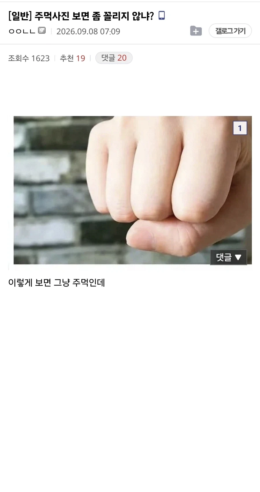 주먹사진 보면 좀 꼴리지 않냐?