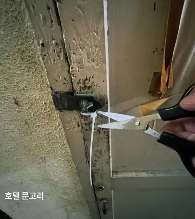 일본 숙박비 만원 호텔 레전드 ㄷㄷㄷ - 이미지 6