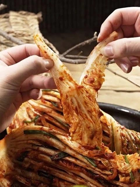 김치 잎파리파 vs 줄기파 - 이미지 2
