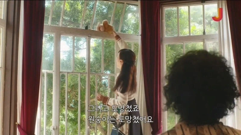 자칫잘못하면 표절시비에 시달리는 소설업계 - 이미지 9