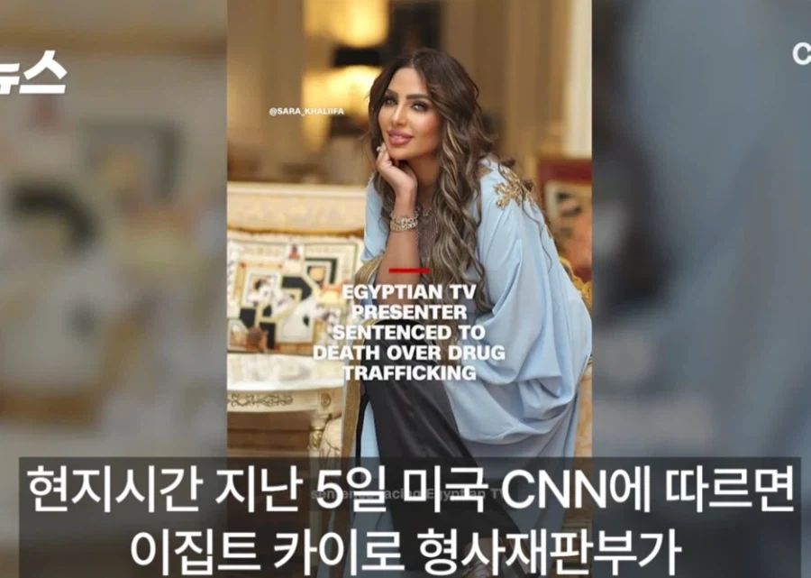 "팔로워 250만 유명 여성 방송인"에 사형 선고한 이집트