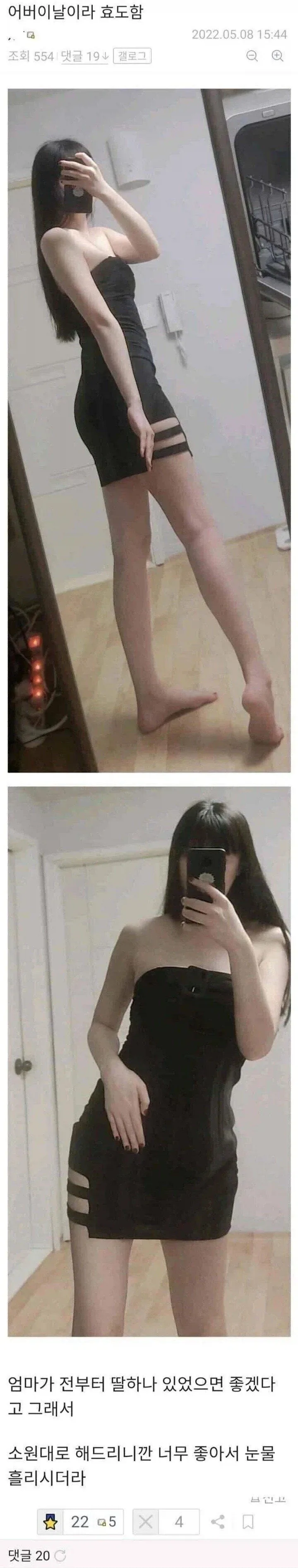 어버이날이라 효도한 디시인.