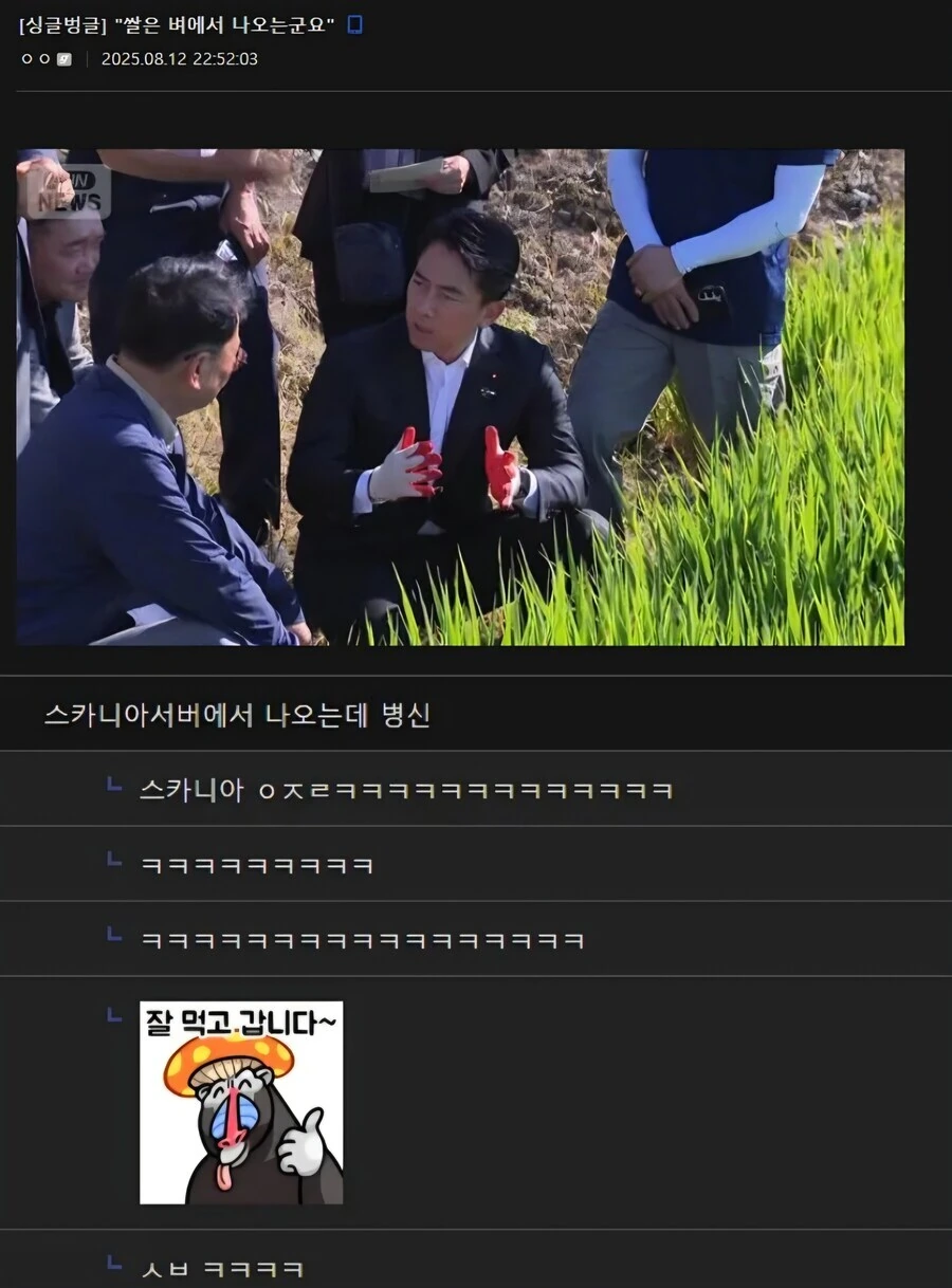 "쌀은 벼에서 나오는군요"