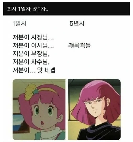 입사직후와 5년차의 차이