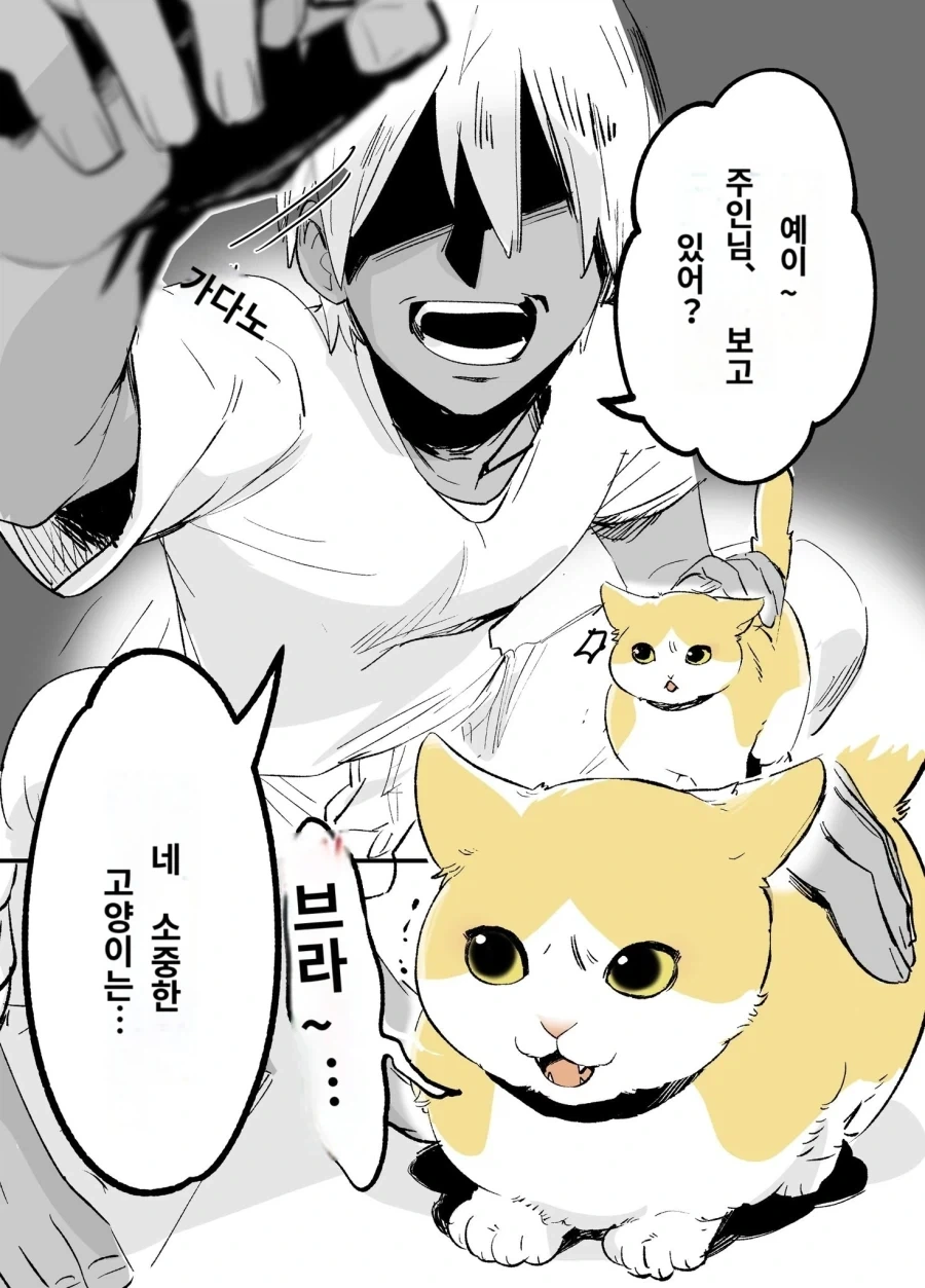 금태양NTR