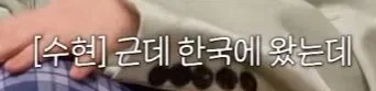 악뮤 수현이 적응하기 힘들었다는 한국 승마.JPG - 이미지 11