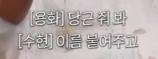 악뮤 수현이 적응하기 힘들었다는 한국 승마.JPG - 이미지 14
