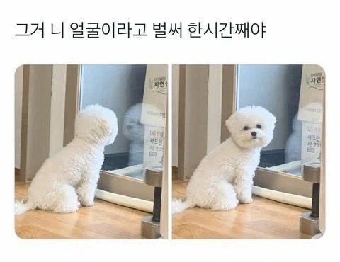 트릭컬) "그거 니얼굴이라고 벌써 한시간째야" - 이미지 2
