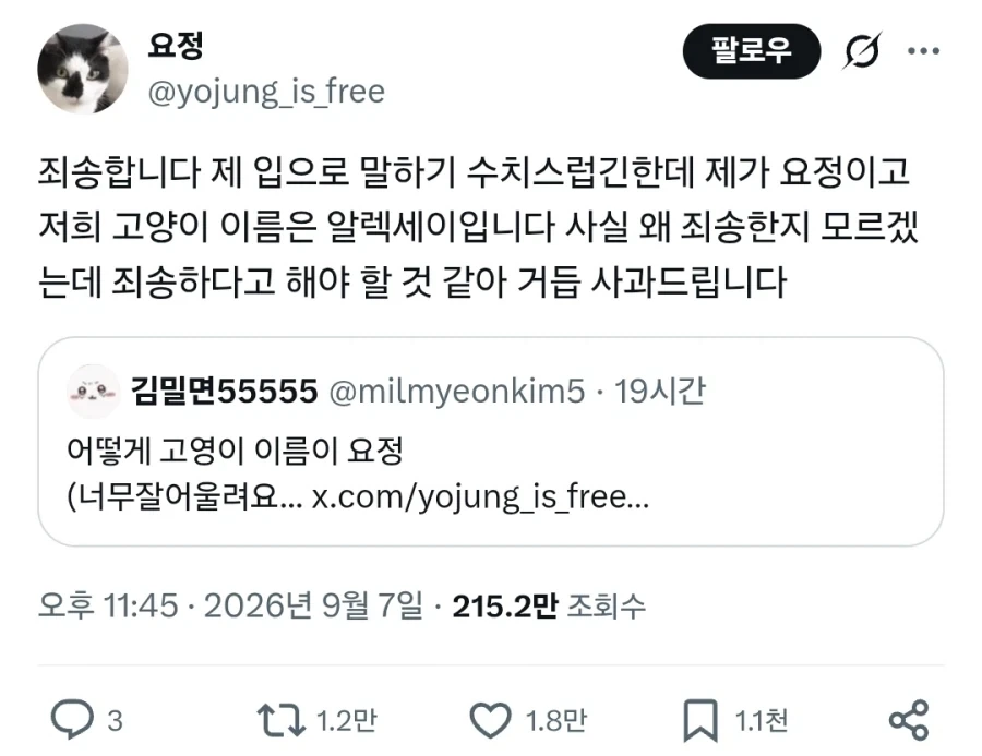 입양한 고양이 옛날사진 다시보기.jpg - 이미지 3