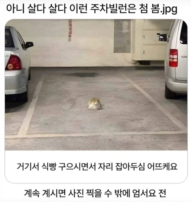 역대급 주차빌런