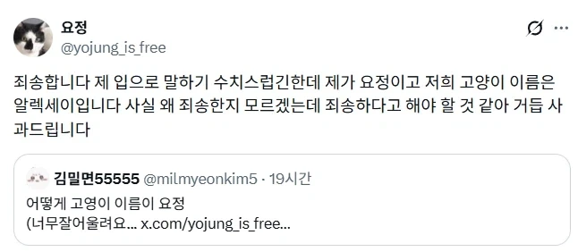요정같은 고양이.jpg - 이미지 3