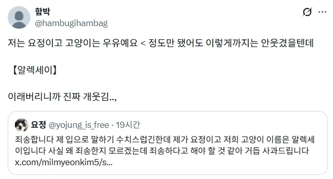 요정같은 고양이.jpg - 이미지 4