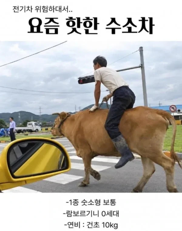 전기차는 위험하대서 수소차로 넘어감.jpg