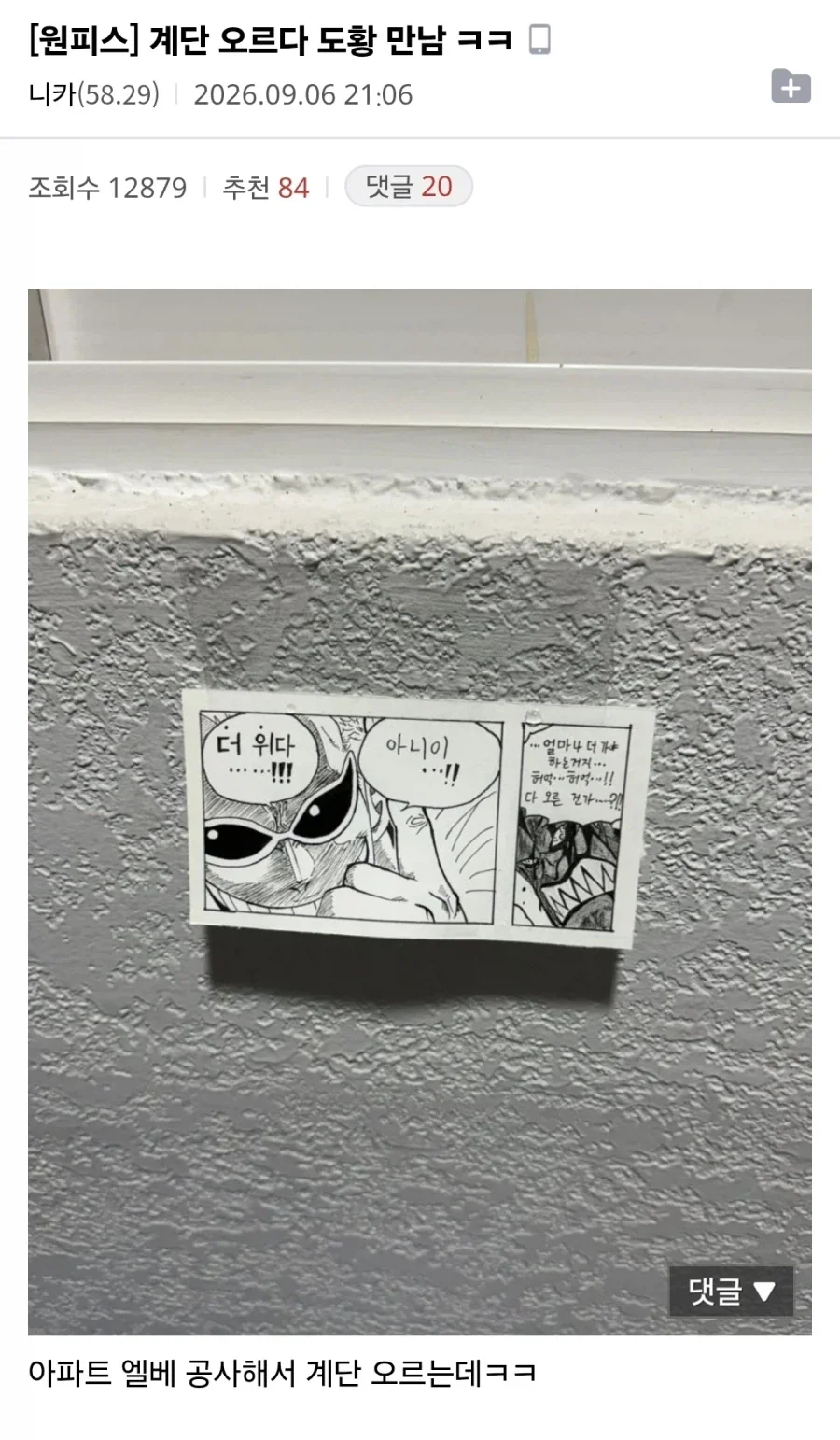 계단 올라가다 도황 만난 디시인