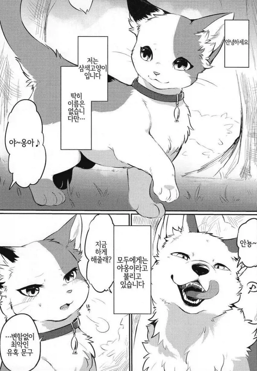 고양이가 사람처럼 생긴 만화.jpg