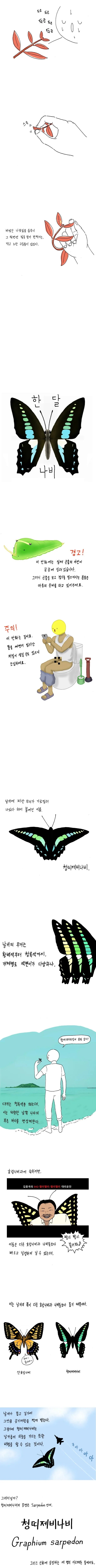 명작 만화] 나비 키우는 방법.jpg - 이미지 2