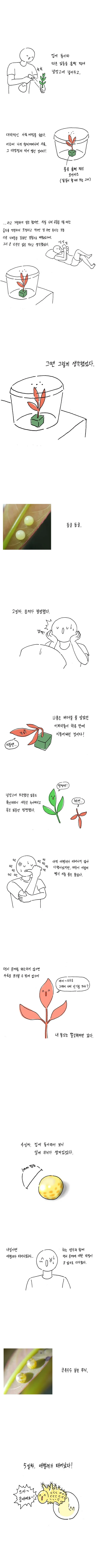 명작 만화] 나비 키우는 방법.jpg - 이미지 4