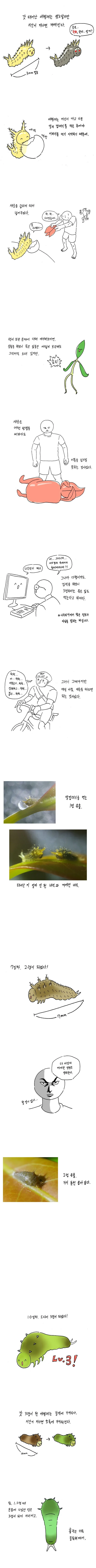 명작 만화] 나비 키우는 방법.jpg - 이미지 5