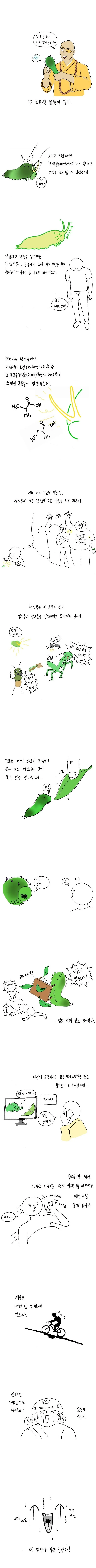 명작 만화] 나비 키우는 방법.jpg - 이미지 6