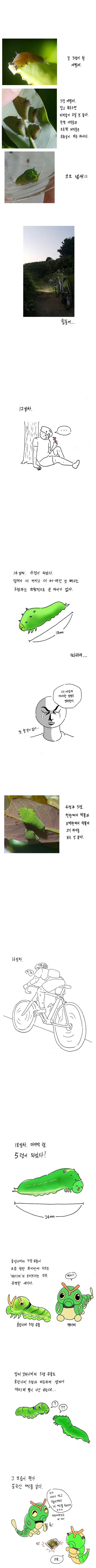 명작 만화] 나비 키우는 방법.jpg - 이미지 7