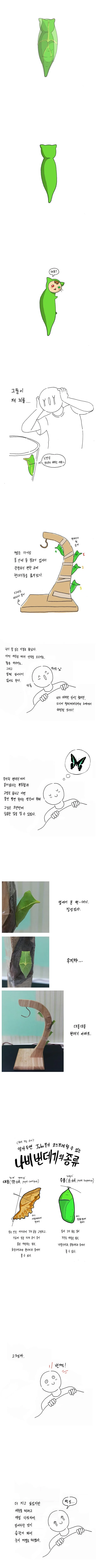 명작 만화] 나비 키우는 방법.jpg - 이미지 10