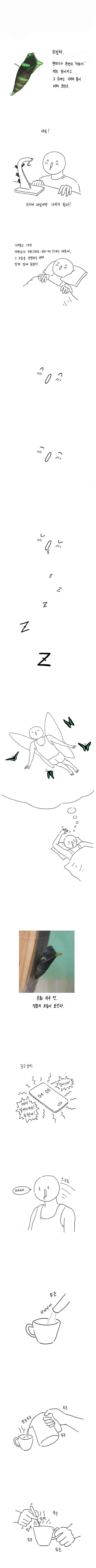 명작 만화] 나비 키우는 방법.jpg - 이미지 12