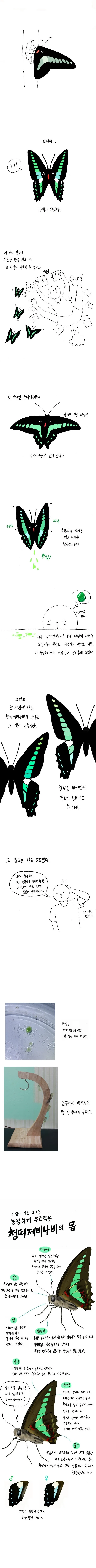 명작 만화] 나비 키우는 방법.jpg - 이미지 14