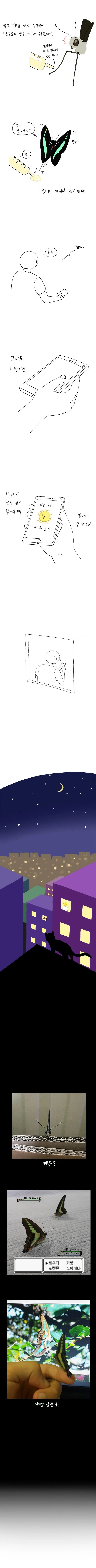 명작 만화] 나비 키우는 방법.jpg - 이미지 17
