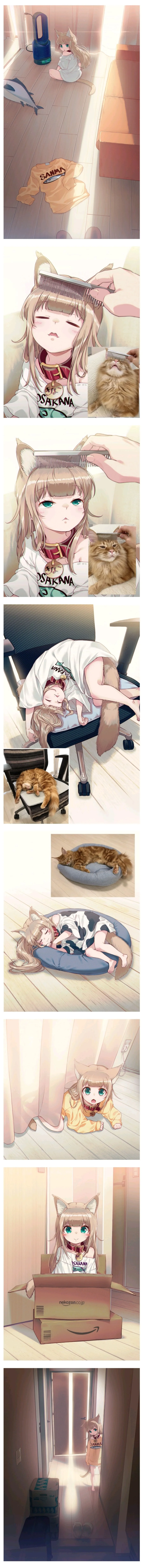 고양이 키우고 싶은 manhwa - 이미지 3