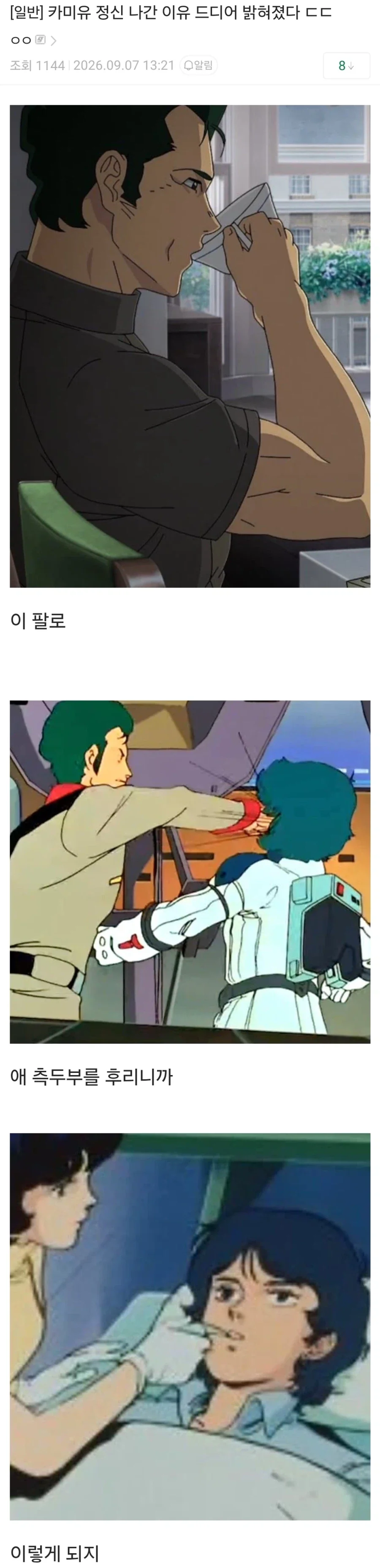 건담) 카미유 정신 나간 이유 드디어 밝혀졌다 ㄷㄷ.jpg