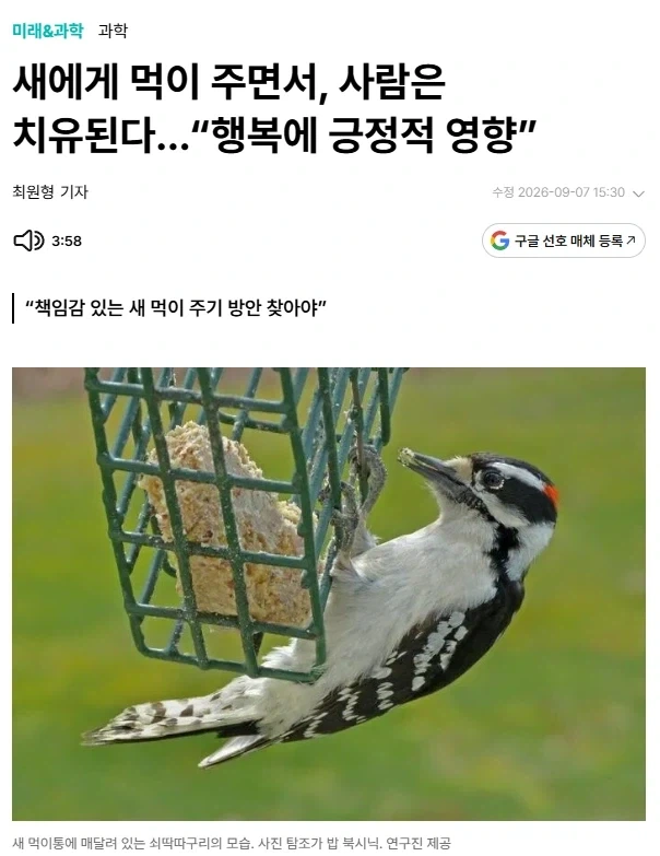 새에게 먹이 주면서, 사람은 치유된다…“행복에 긍정적 영향”
