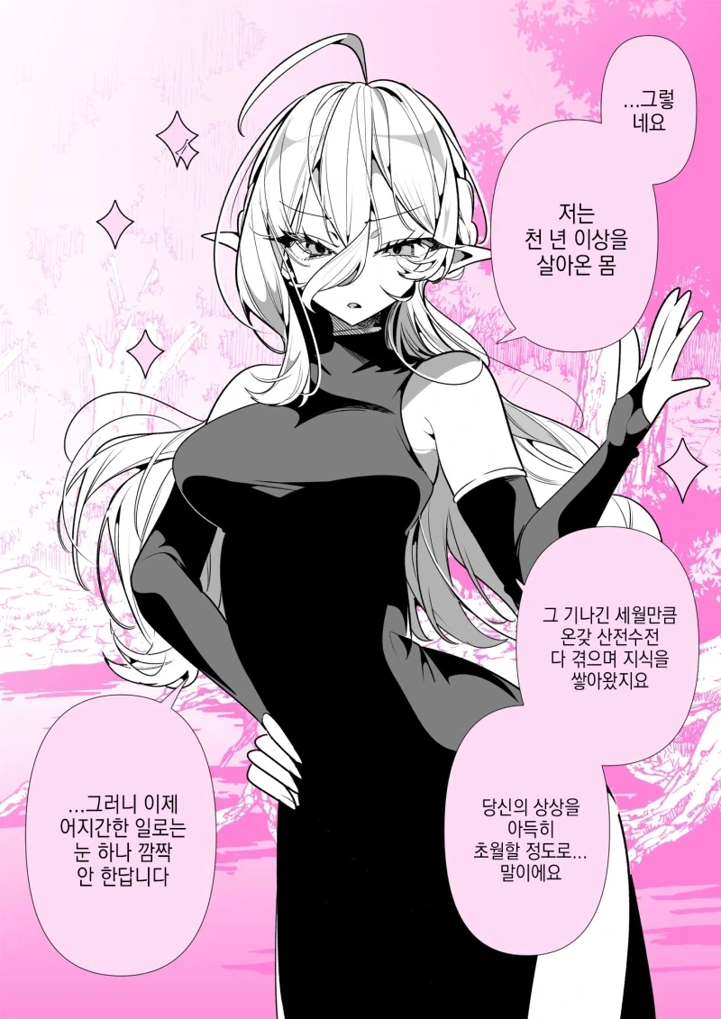경험많은 엘프