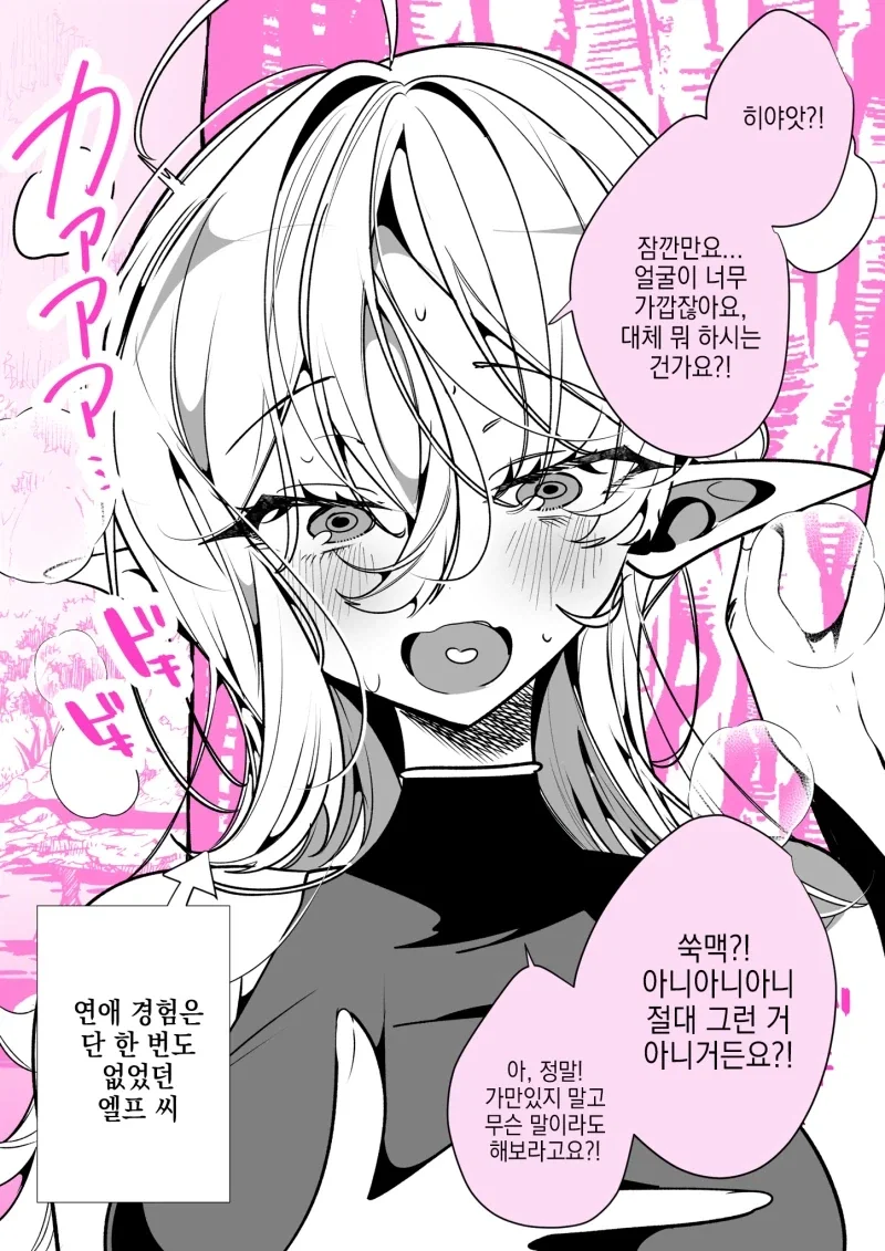 경험많은 엘프 - 이미지 2