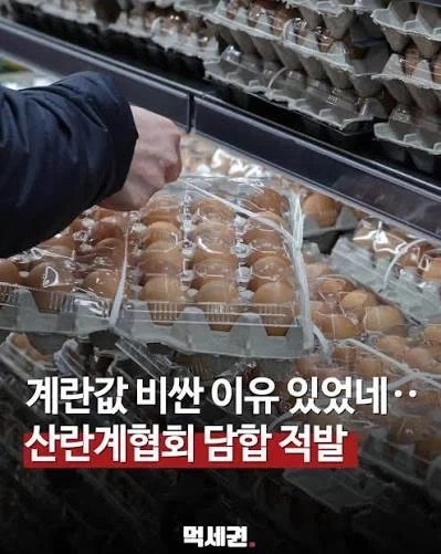 시장에 값싼 계란이 풀리자 유통업자들 반응 - 이미지 5