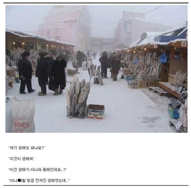 생물 생선이 존나 귀한 지역