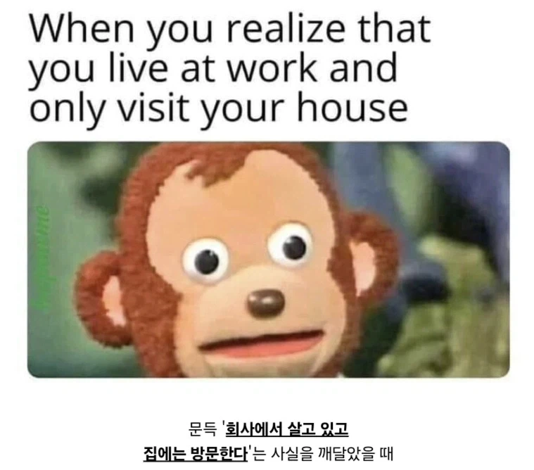 씨1발 생각해보니 그러네…?.jpg