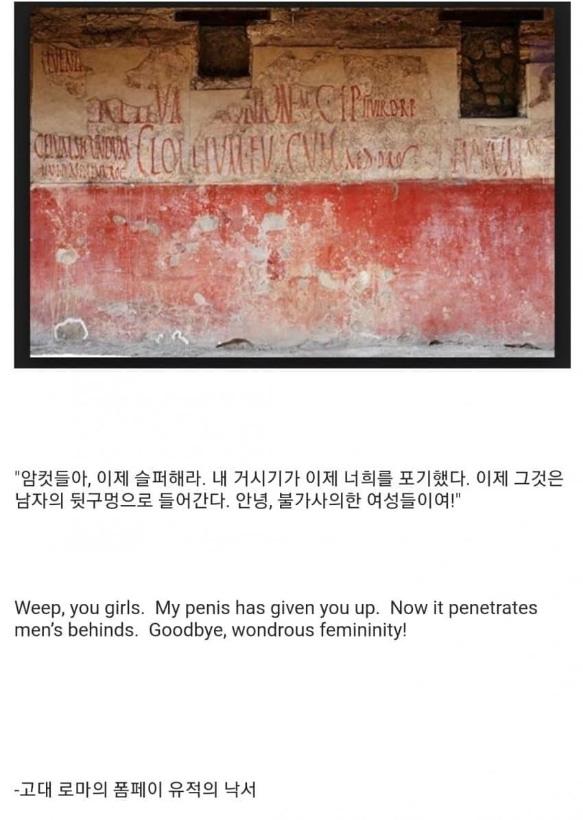 ＇암컷들아 이제 슬퍼해라＇