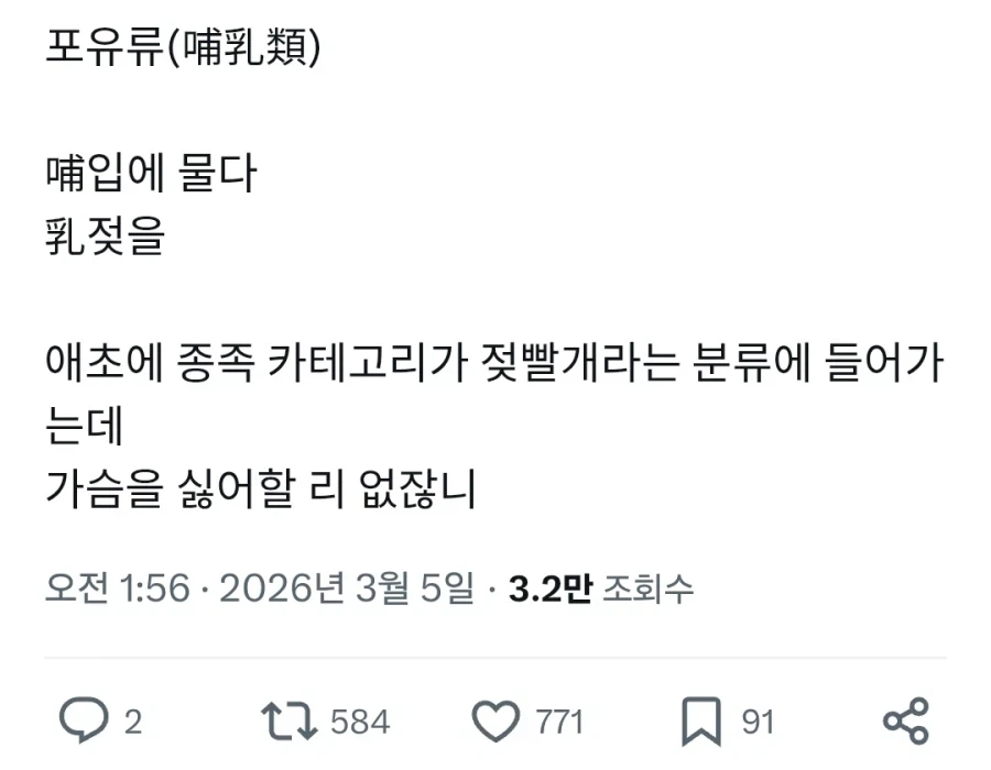큰가슴을 좋아하는 이유