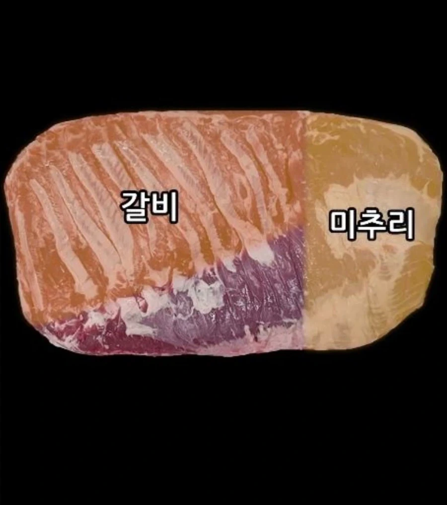 절대로 사면 안된다는 삼겹살 부위