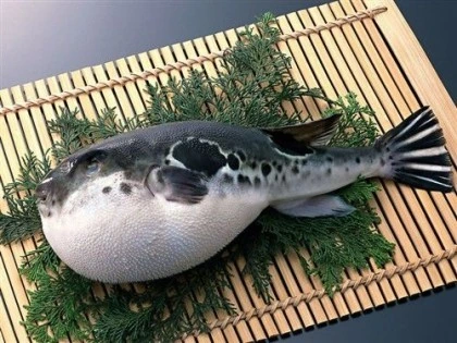 이러면 인간들이 안먹겠지?.jpg - 이미지 2