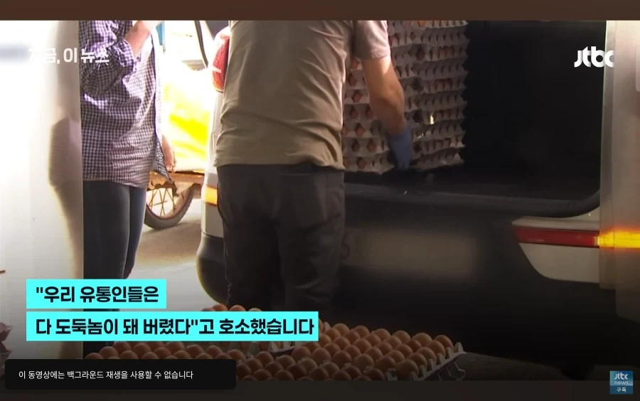 계란 싸게 파는 뉴스 보고 이해 못한 한국인들