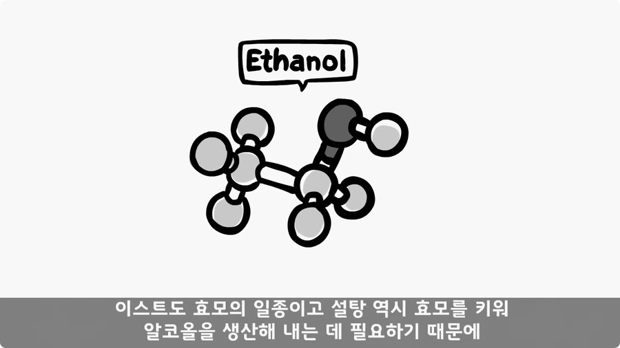 술을 연성해 낸 간 큰 연금술사 일병.jpg - 이미지 15